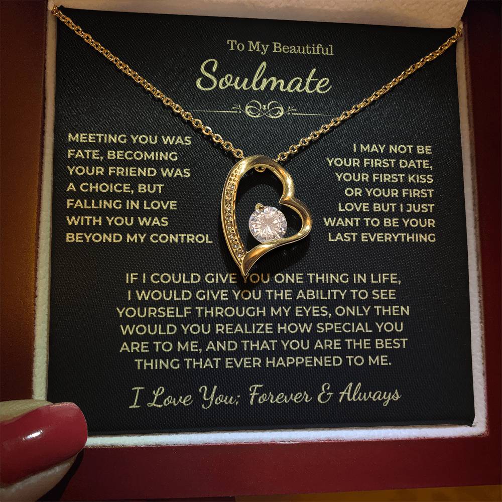 To My Beautiful Soulmate Gift, "Meeting You Was Fate" Heart Necklace