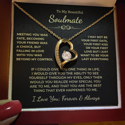 To My Beautiful Soulmate Gift, "Meeting You Was Fate" Heart Necklace