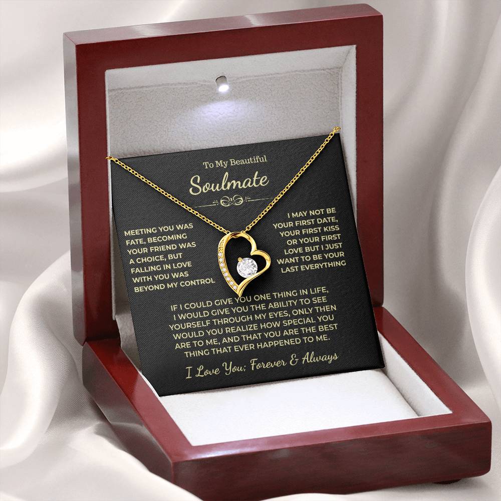 To My Beautiful Soulmate Gift, "Meeting You Was Fate" Heart Necklace