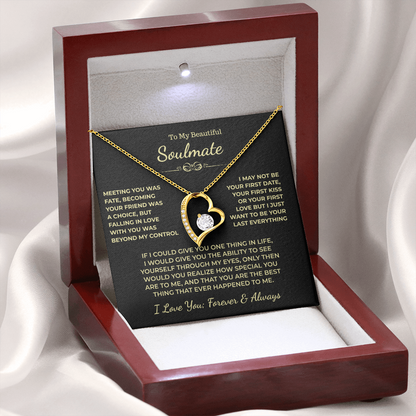 To My Beautiful Soulmate Gift, "Meeting You Was Fate" Heart Necklace