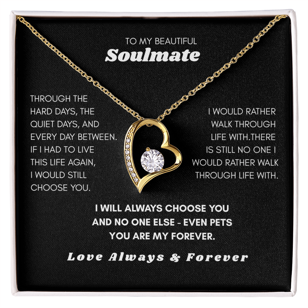 To My Soulmate — I'd Choose You Over Everyone (Even Pets) Heart Necklace Gift