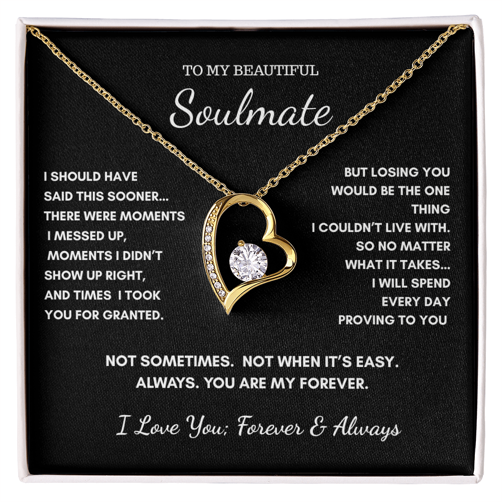 To My Soulmate — I Should Have Said This Sooner | Heart Necklace Gift