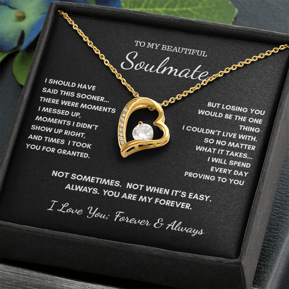 To My Soulmate — I Should Have Said This Sooner | Heart Necklace Gift