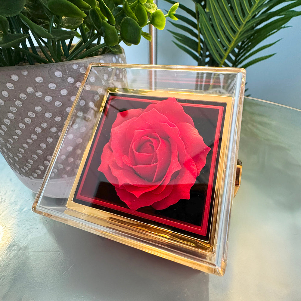 Heart Necklace Gift with Rose Box – To My Love